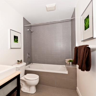 Property Maintenance